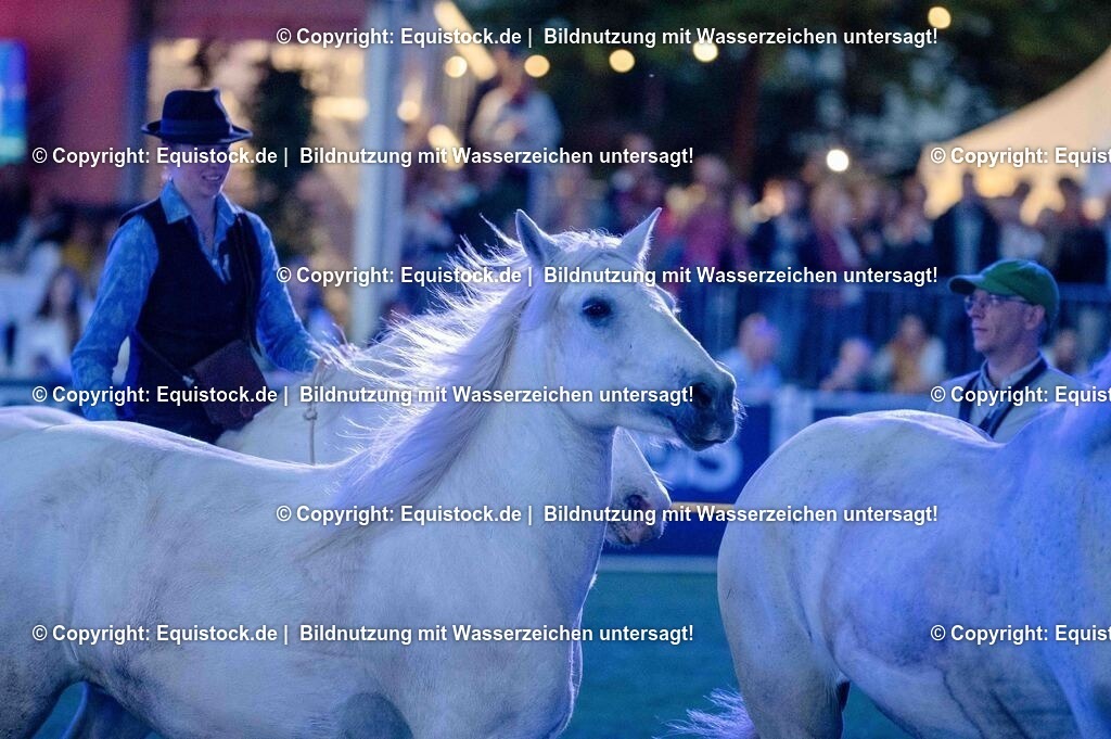 20250606_Lange-Pferdenacht_1058 | Foto: Thomas Hartig