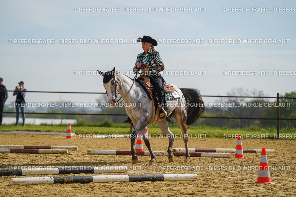 DSC01461 | Pferdegrafie