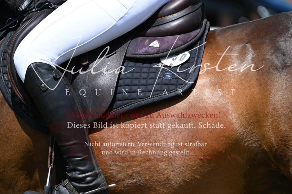 DSC_0768 | Pferde- und Turnierfotografie in Westsachsen. Pferdeportraits, Auftragszeichnungen und intuitive Kunst.