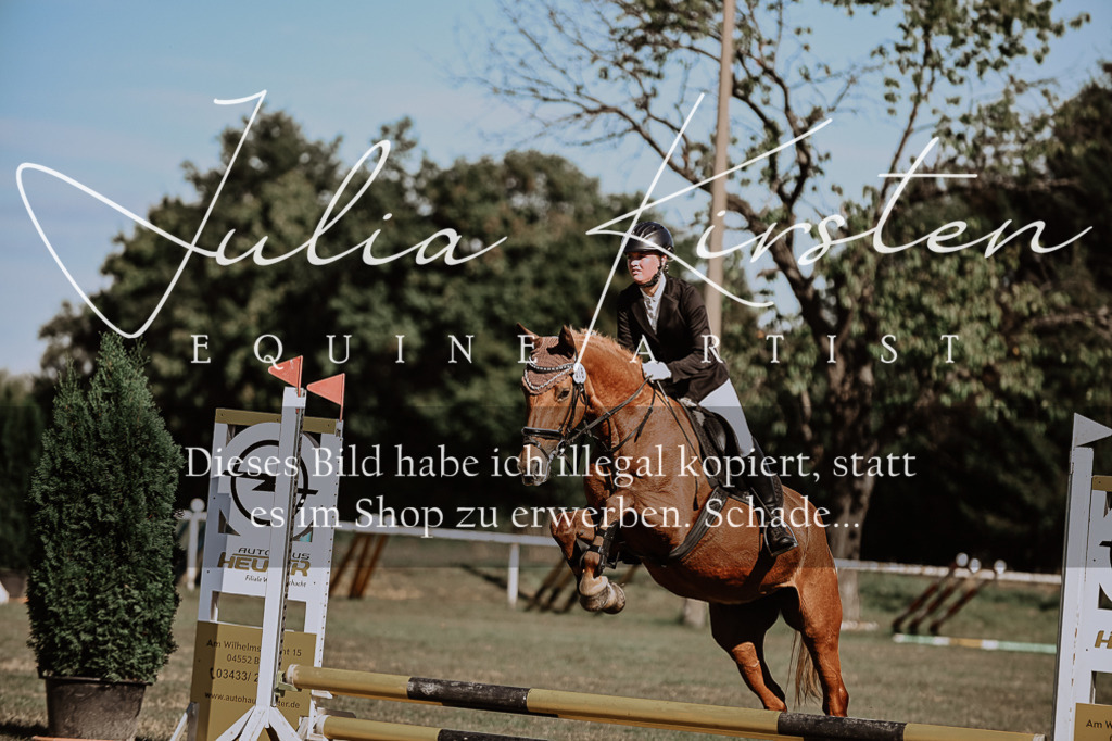 DSC_9332 | Pferde- und Turnierfotografie in Westsachsen. Pferdeportraits, Auftragszeichnungen und intuitive Kunst.