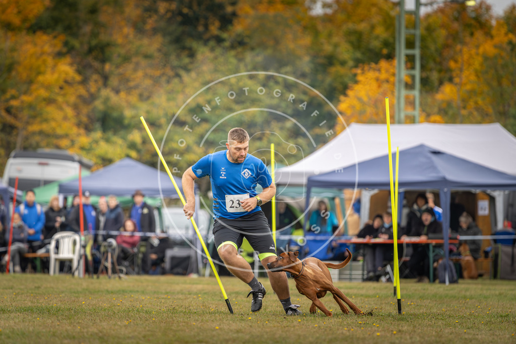 Pfotenfotografie_DV3A5240 | Hundefotografie, Tierfotograf, Pfotenfotografie, Fotoshooting Hund, Hunde Portrait, Hundesport, Hundeportraits, Heideshooting, Hunde, Sportfotograf, Hundefotograf, Turnierhundsport, THS,  - Realisiert mit Pictrs.com