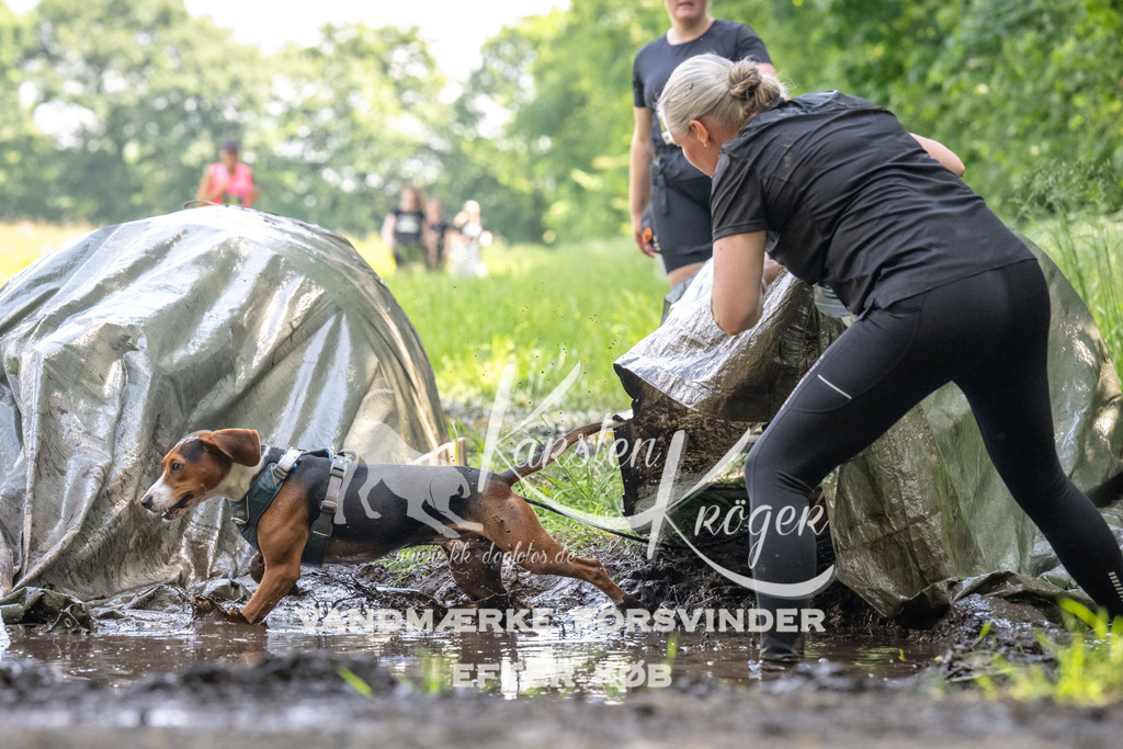 1159_ZZ90823 | kk-dogfotos