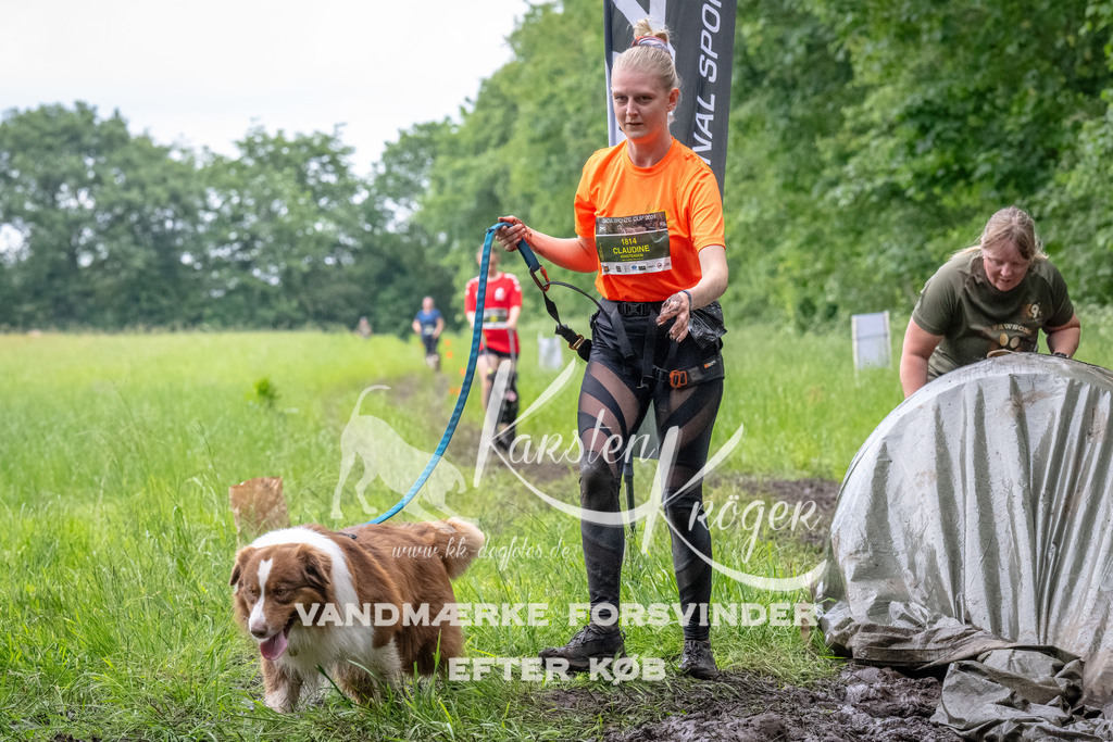 1630_ZZ94357-Bearbeitet | kk-dogfotos