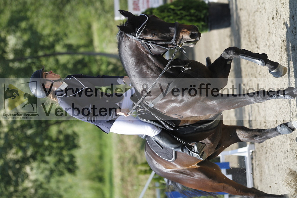 _MG_1735 | equestrian-live-com