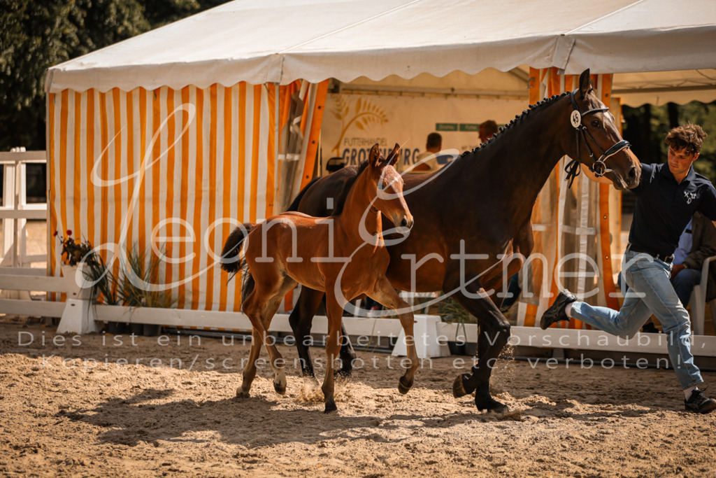 09.DoWBD00045 | Leoni Ertmer Photography - Realisiert mit Pictrs.com