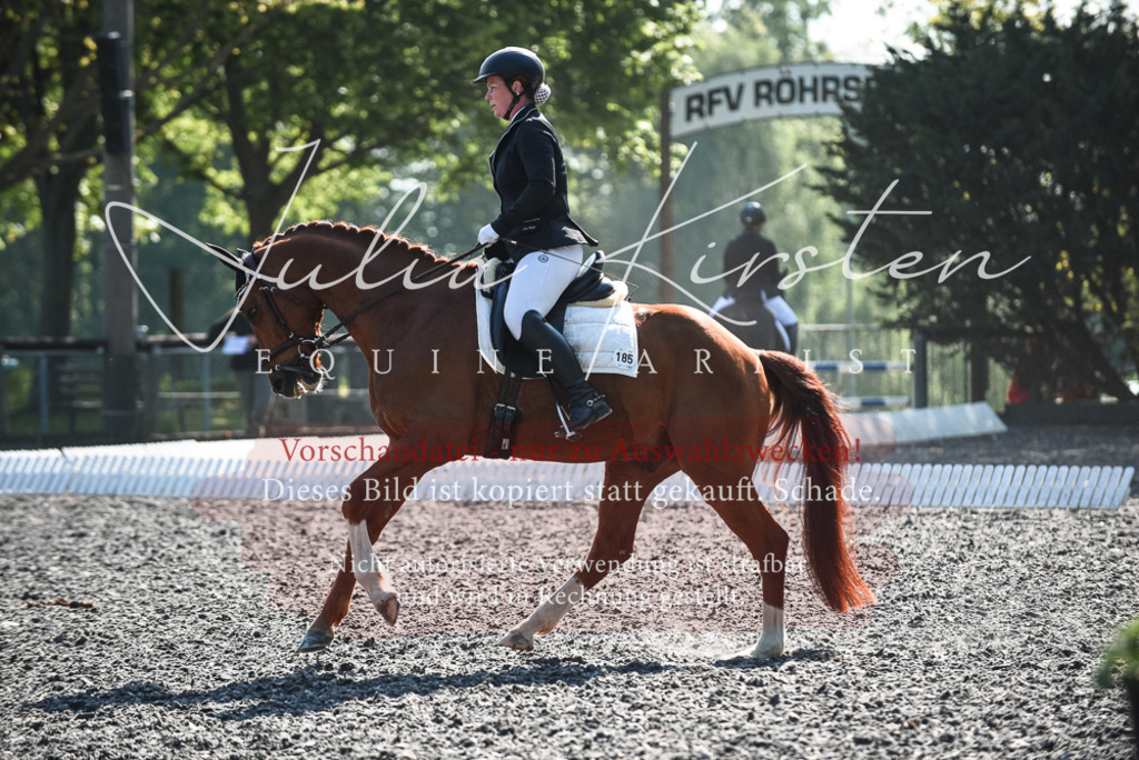 DSC_8758 | Pferde- und Turnierfotografie in Westsachsen. Pferdeportraits, Auftragszeichnungen und intuitive Kunst.