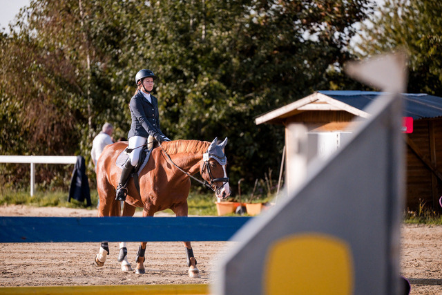 2026_10_03_Siefer-Hof_164759_Z81_99323998 | Professionelle Reitsport-, Turnier- und Eventfotografie von Robert Broda. Galerien mit ausgewählten und bearbeiteten Bildern direkt online ansehen und bestellen.