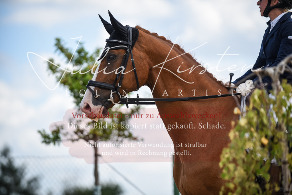 DSC_9177 | Pferde- und Turnierfotografie in Westsachsen. Pferdeportraits, Auftragszeichnungen und intuitive Kunst.