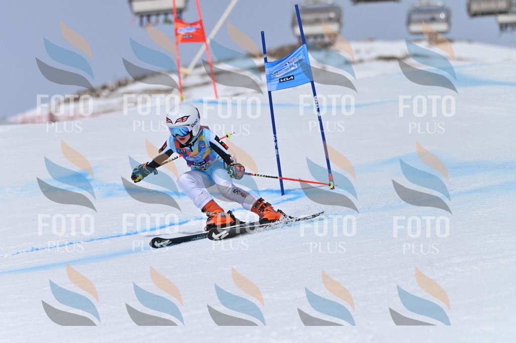 BGV_3624 | holidayphoto