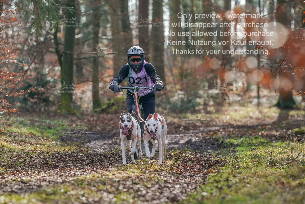 So_Scooter_2-77 | stephaniefillaphotographie - Realisiert mit Pictrs.com