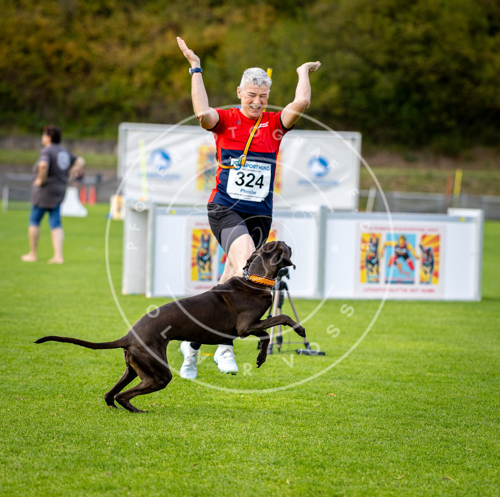 Pfotenfotografie_DV3A3168 | Hundefotografie, Tierfotograf, Pfotenfotografie, Fotoshooting Hund, Hunde Portrait, Hundesport, Hundeportraits, Heideshooting, Hunde, Sportfotograf, Hundefotograf, Turnierhundsport, THS,  - Realisiert mit Pictrs.com