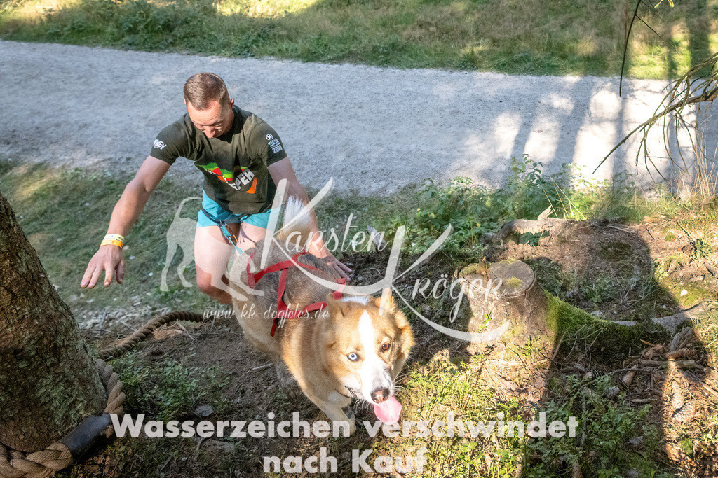 1130_ZZ90691 | kk-dogfotos