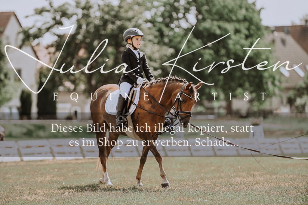 DSC_7592 | Pferde- und Turnierfotografie in Westsachsen. Pferdeportraits, Auftragszeichnungen und intuitive Kunst.