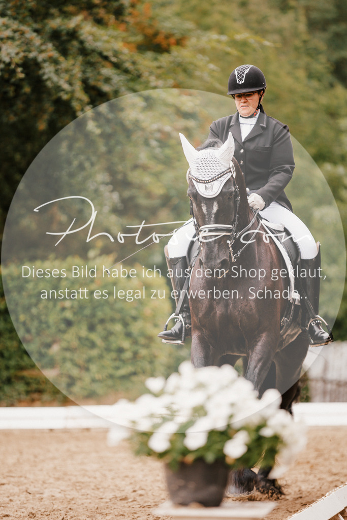 3I6A7731 | Stimmungsvolle Portraits und Reitsportfotografie im Ruhrgebiet und im Münsterland.

Pferdefotografie, Hundefotografie, Tierfotografie, Reportagen, Portraits von Tier und Mensch, Turnierfotografie in Bochum, Recklinghausen, Marl, Haltern am See, Dülmen.. - Realisiert mit Pictrs.com