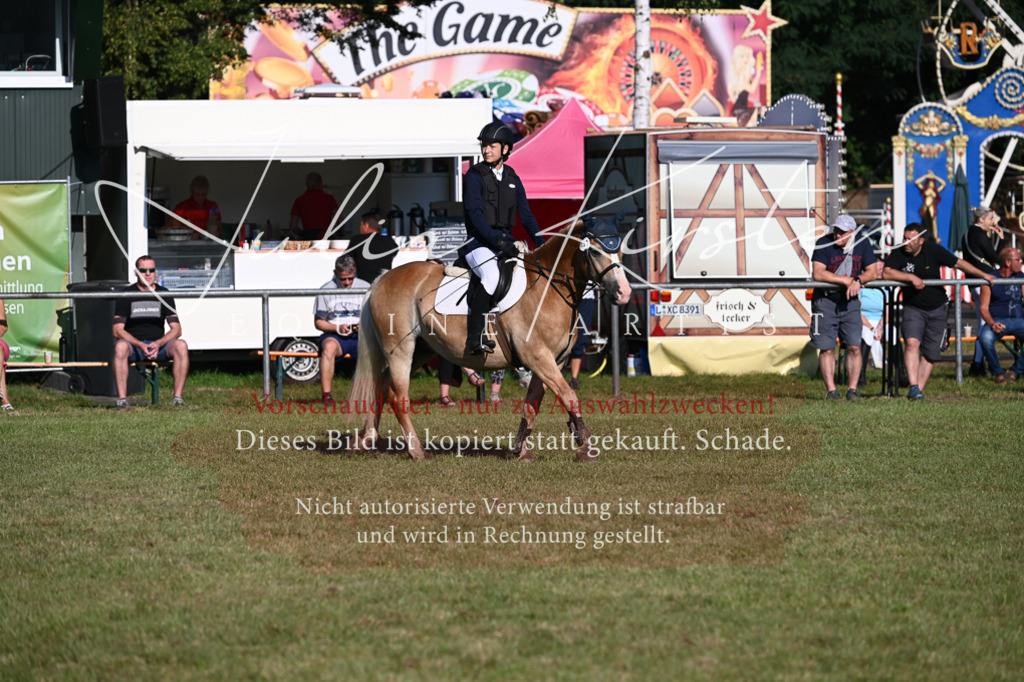 DSC_4822 | Pferde- und Turnierfotografie in Westsachsen. Pferdeportraits, Auftragszeichnungen und intuitive Kunst.