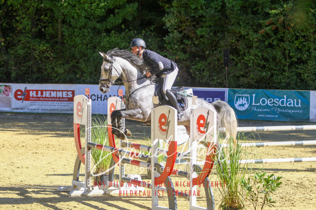 DKP42970 | Turniersportfotografie; Pferdefotografie; Dressurfotografie