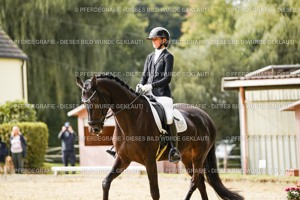 DSC00796 | Pferdegrafie