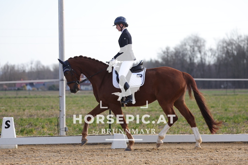 0P6A5916 | Willkommen bei Brunnmayr - Design & Fotografie – Ihrem Spezialisten für Reitturniere und Pferdeveranstaltungen in Oberösterreich, Salzburg und Bayern! Seit über 17 Jahren sind wir leidenschaftlich dabei.