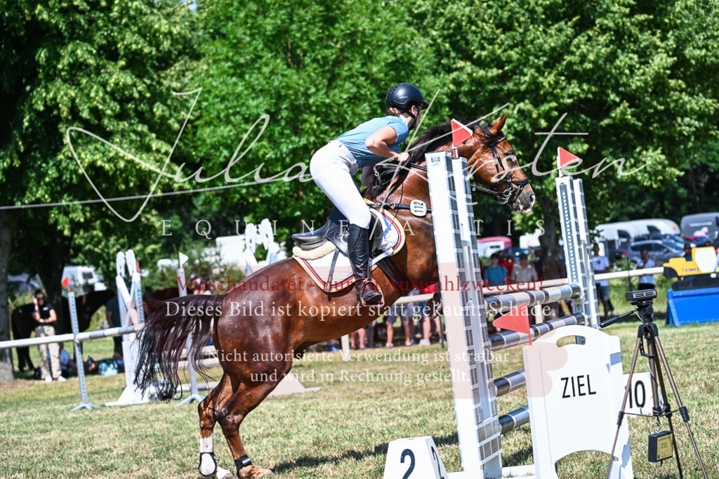 DSC_0938 | Pferde- und Turnierfotografie in Westsachsen. Pferdeportraits, Auftragszeichnungen und intuitive Kunst.