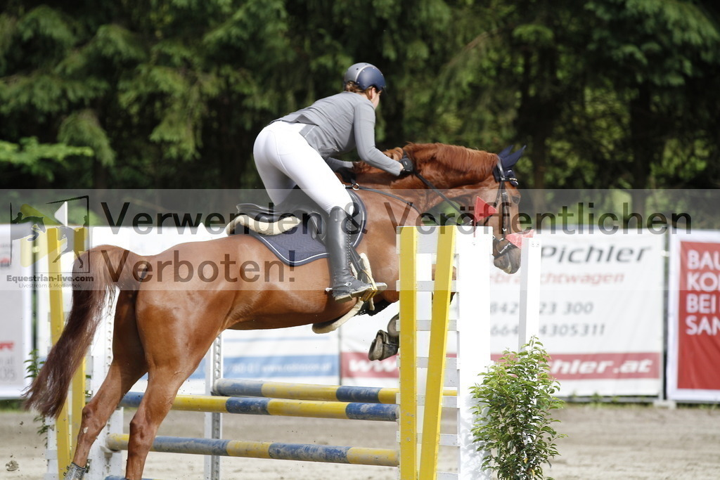 _MG_9035 | equestrian-live-com