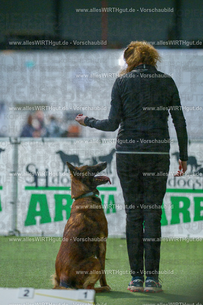 7R500922 | Professionelle Tierfotografie in Mönchengladbach von Daniel Wirth (allesWIRTHgut). Liebevolle & natürliche Bilder von Hunden & Katzen für unvergessliche Erinnerungen.