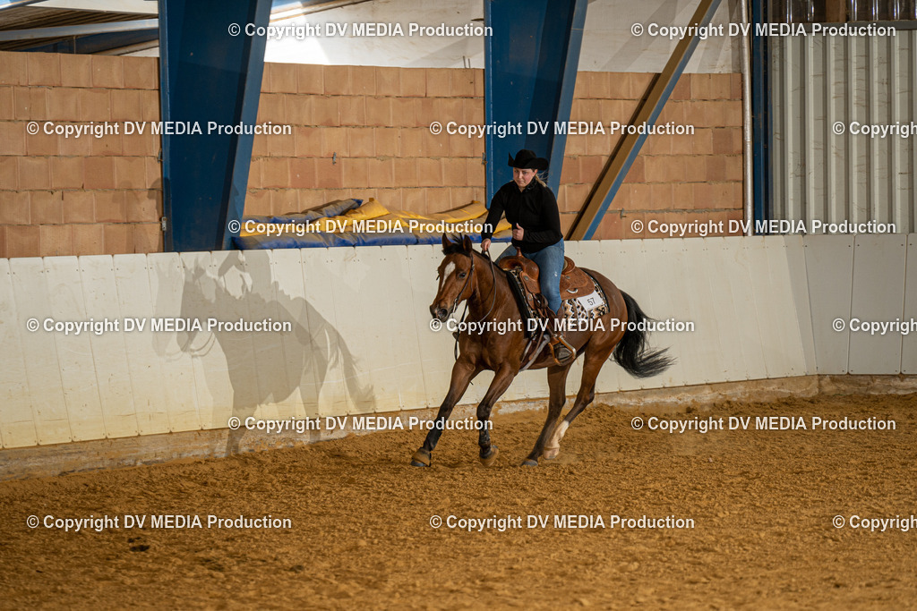 MIT00294 | dv-media-shop - Realisiert mit Pictrs.com