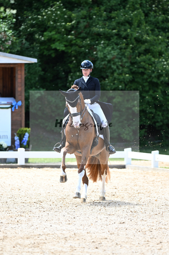 Harsdorf_Daydream d Arion_11252904 | hf-fotografie - Realisiert mit Pictrs.com