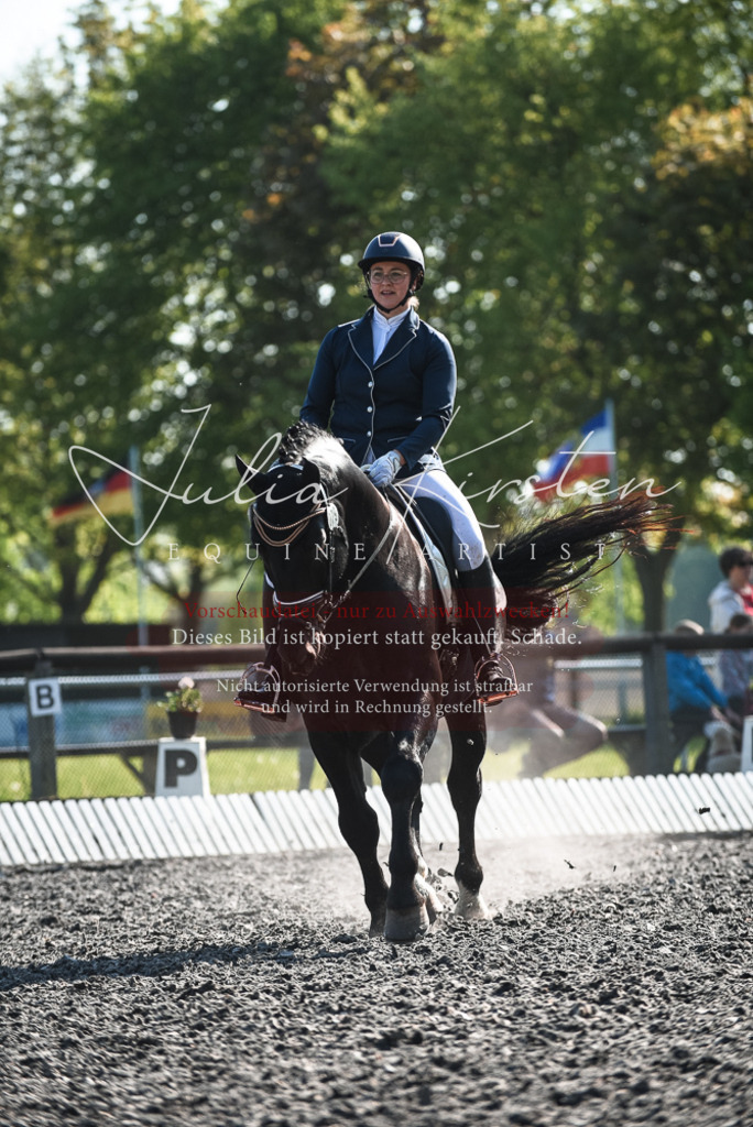 DSC_8464 | Pferde- und Turnierfotografie in Westsachsen. Pferdeportraits, Auftragszeichnungen und intuitive Kunst.