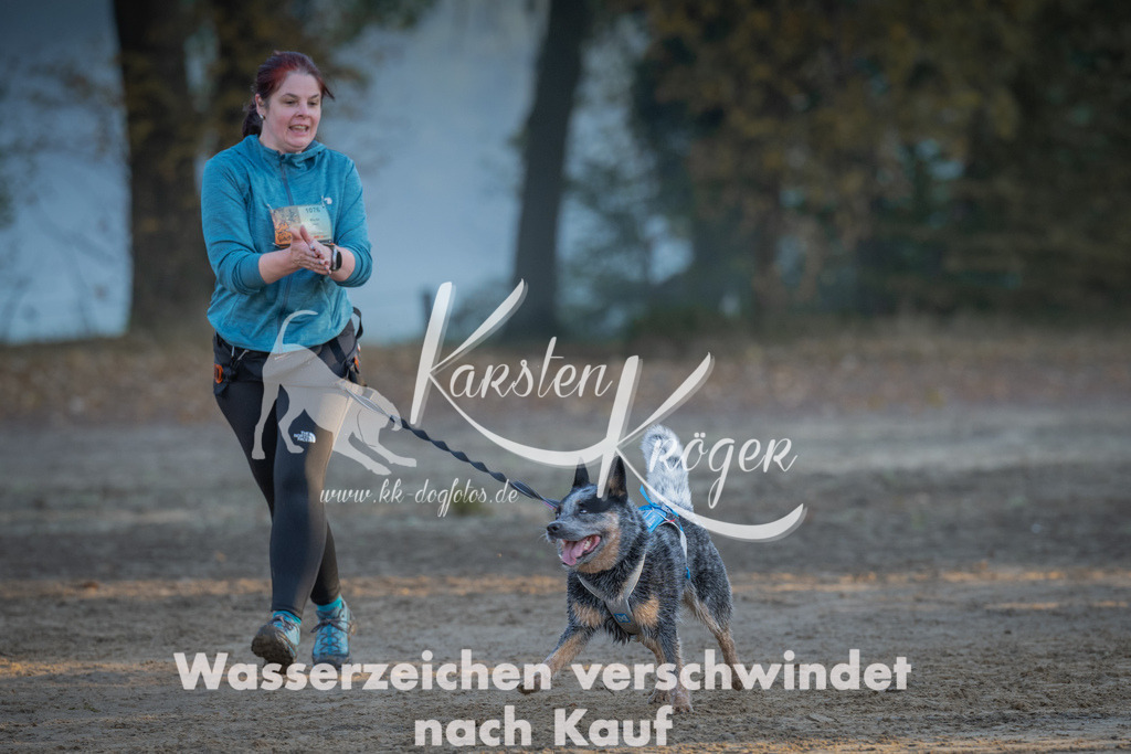 0914_ZZ92122 | kk-dogfotos