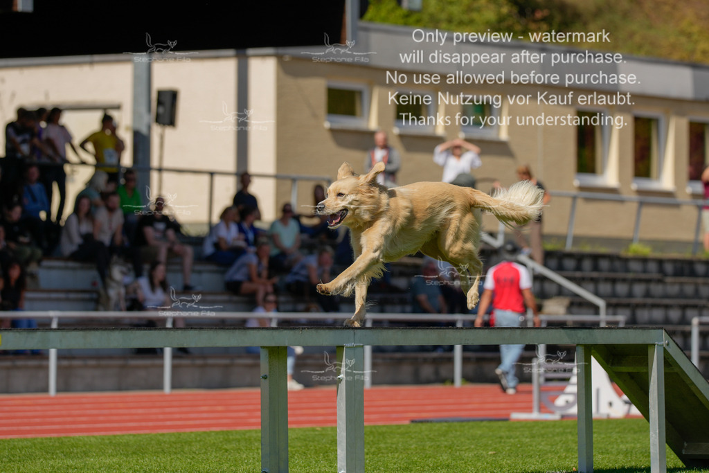 Sonntag_VK Hindernis (34 von 671) | stephaniefillaphotographie - Realisiert mit Pictrs.com