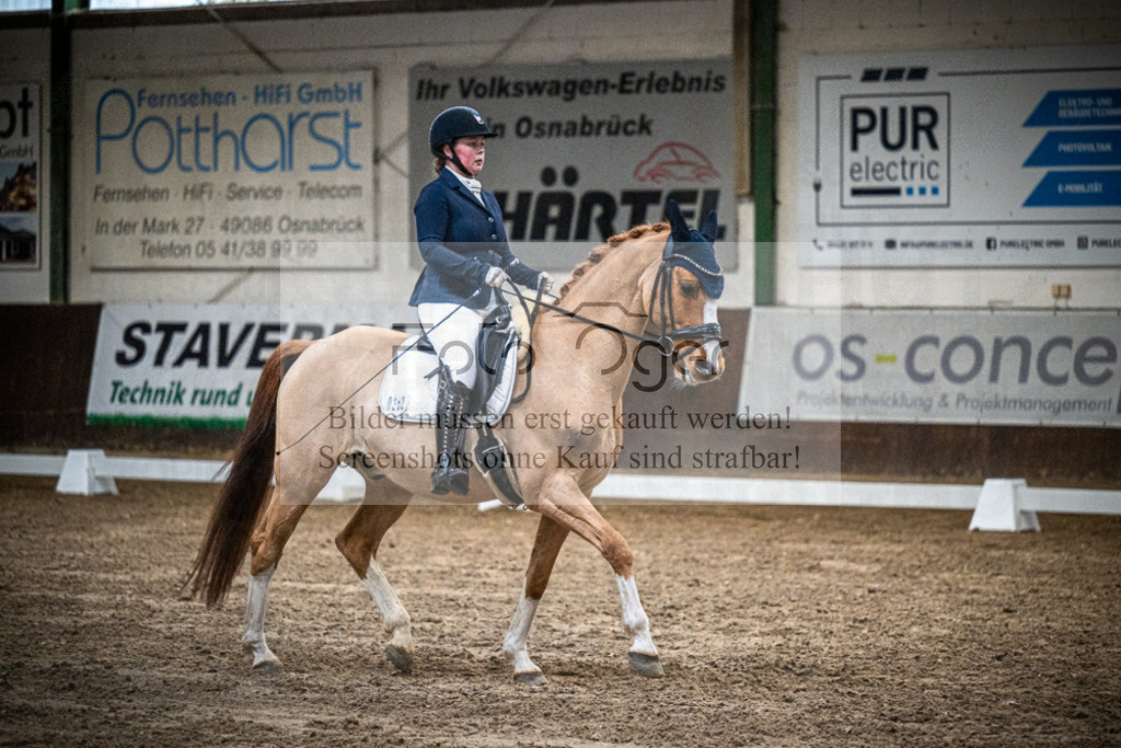 DOS_1541 | Entdecke hochwertige Reitturnierfotos von Foto Oger. Professionell, emotional und authentisch – jetzt Lieblingsmomente im Shop bestellen.Deutschlandweite Turnierfotografie. - Realisiert mit Pictrs.com