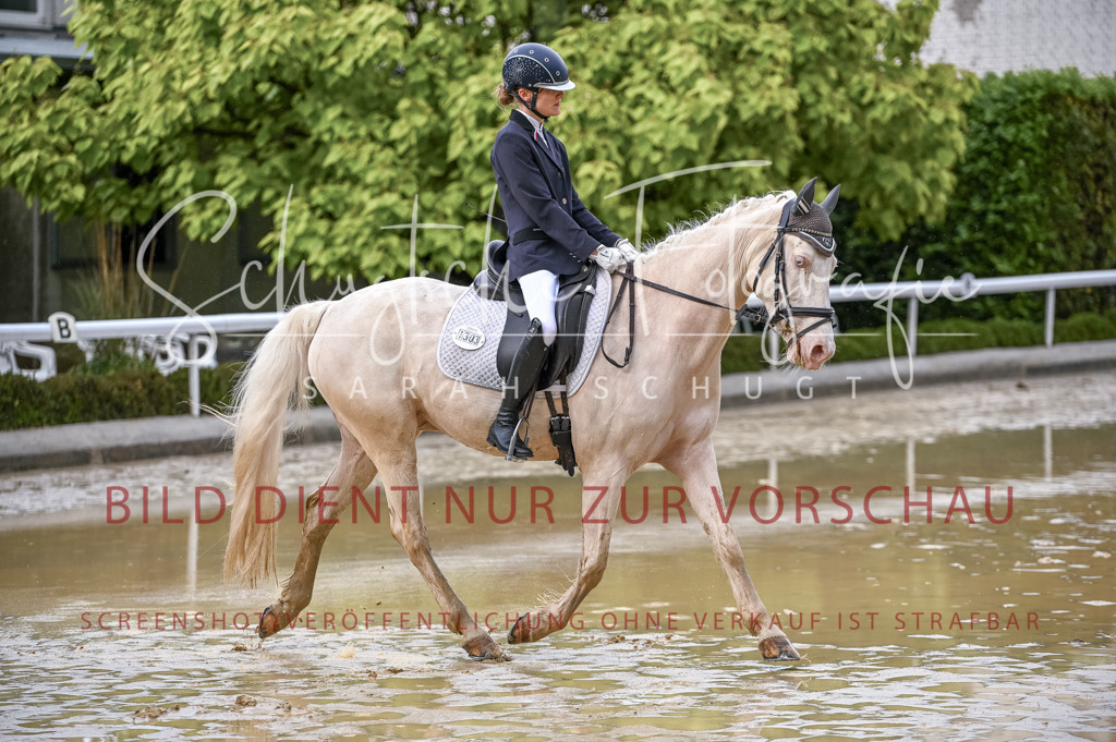 Schugtsche-Aluta25-54.Dressurprf.L1Trense-118 | Schugtsche Fotografie - Realisiert mit Pictrs.com