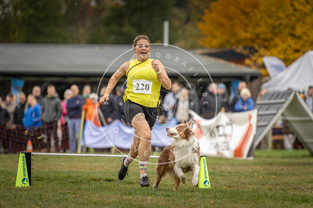Pfotenfotografie_DV3A3046 | Hundefotografie, Tierfotograf, Pfotenfotografie, Fotoshooting Hund, Hunde Portrait, Hundesport, Hundeportraits, Heideshooting, Hunde, Sportfotograf, Hundefotograf, Turnierhundsport, THS,  - Realisiert mit Pictrs.com