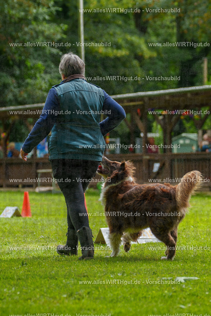 @allesWIRTHgut_Tierfotografie - www.allesWIRTHgut.de - 101249-7R508180 | Professionelle Tierfotografie in Mönchengladbach von Daniel Wirth (allesWIRTHgut). Liebevolle & natürliche Bilder von Hunden & Katzen für unvergessliche Erinnerungen.
