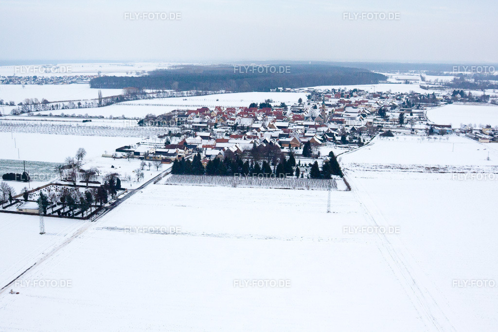 Im Winter bei Schnee von Westen | Luftbild: Im Winter bei Schnee von Westen in Erlenbach bei Kandel im Bundesland Rheinland-Pfalz in Deutschland. Foto: IMG_23811.jpg vom 16.01.2010 durch Werner Riehm/FLY-FOTO.de - Realisiert mit Pictrs.com