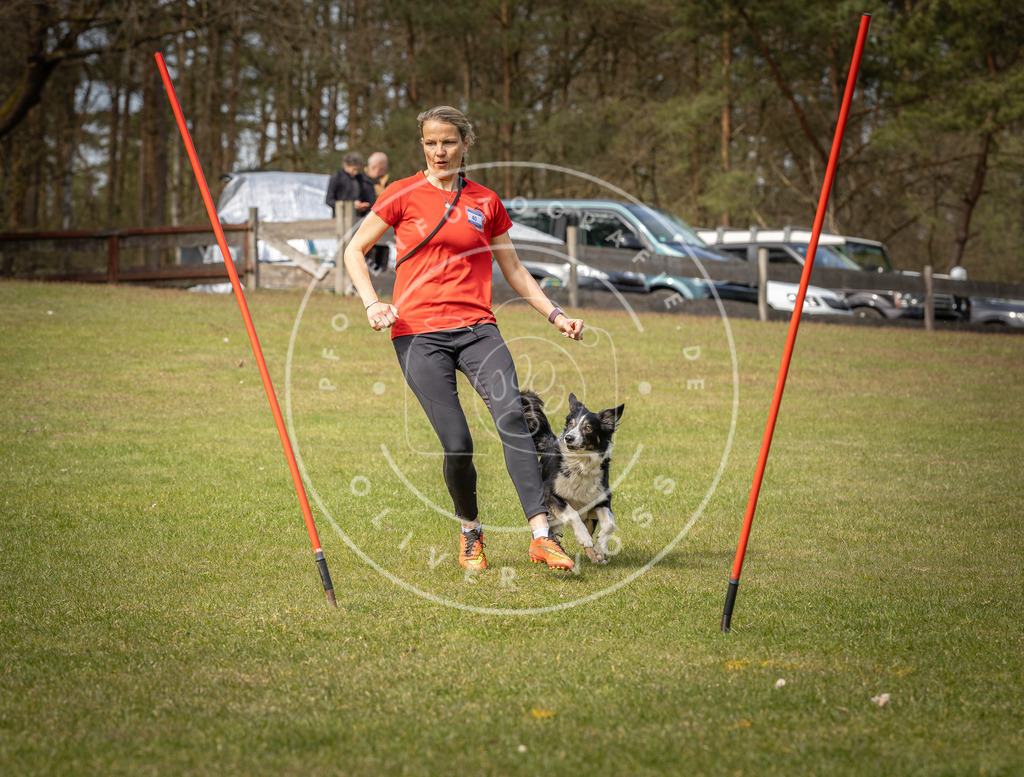 Pfotenfotografie_DV3A7648 | Hundefotografie, Tierfotograf, Pfotenfotografie, Fotoshooting Hund, Hunde Portrait, Hundesport, Hundeportraits, Heideshooting, Hunde, Sportfotograf, Hundefotograf, Turnierhundsport, THS,  - Realisiert mit Pictrs.com