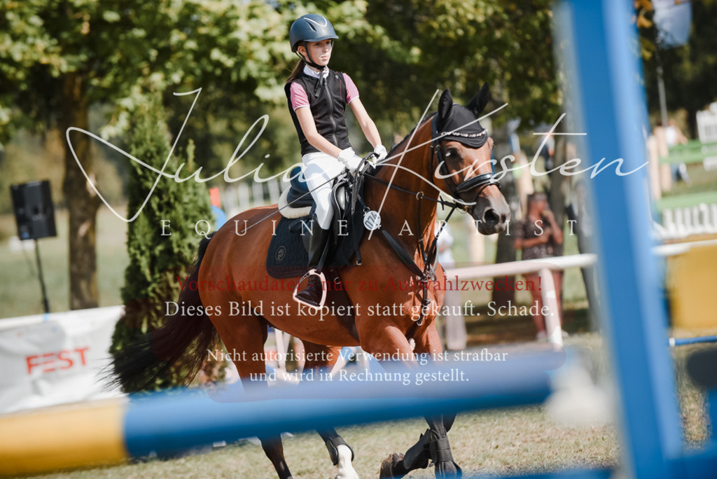 DSC_5389 | Pferde- und Turnierfotografie in Westsachsen. Pferdeportraits, Auftragszeichnungen und intuitive Kunst.
