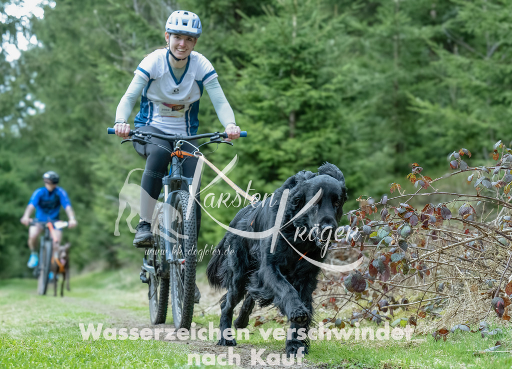 1312_ZZ94014-Bearbeitet | kk-dogfotos