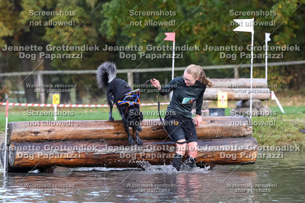 Dog Paparazzi - Strongdog 10-25-6926 | Dog Paparazzi Jeanette Grottendiek Fotografie & Videografie - Realisiert mit Pictrs.com