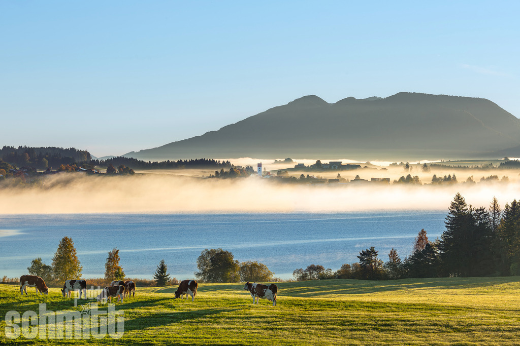 Sonnenaufgang und Morgennebel am Hopfensee im Allgäu | Stimmungsvoller Sonnenaufgang am Hopfensee im Allgäu, während feiner Morgennebel über dem Wasser liegt und die ersten Sonnenstrahlen die Landschaft in warmes Licht tauchen. Die Bergkulisse im Hintergrund verleiht der Aufnahme eine besondere Ruhe und Weite. - Realisiert mit Pictrs.com