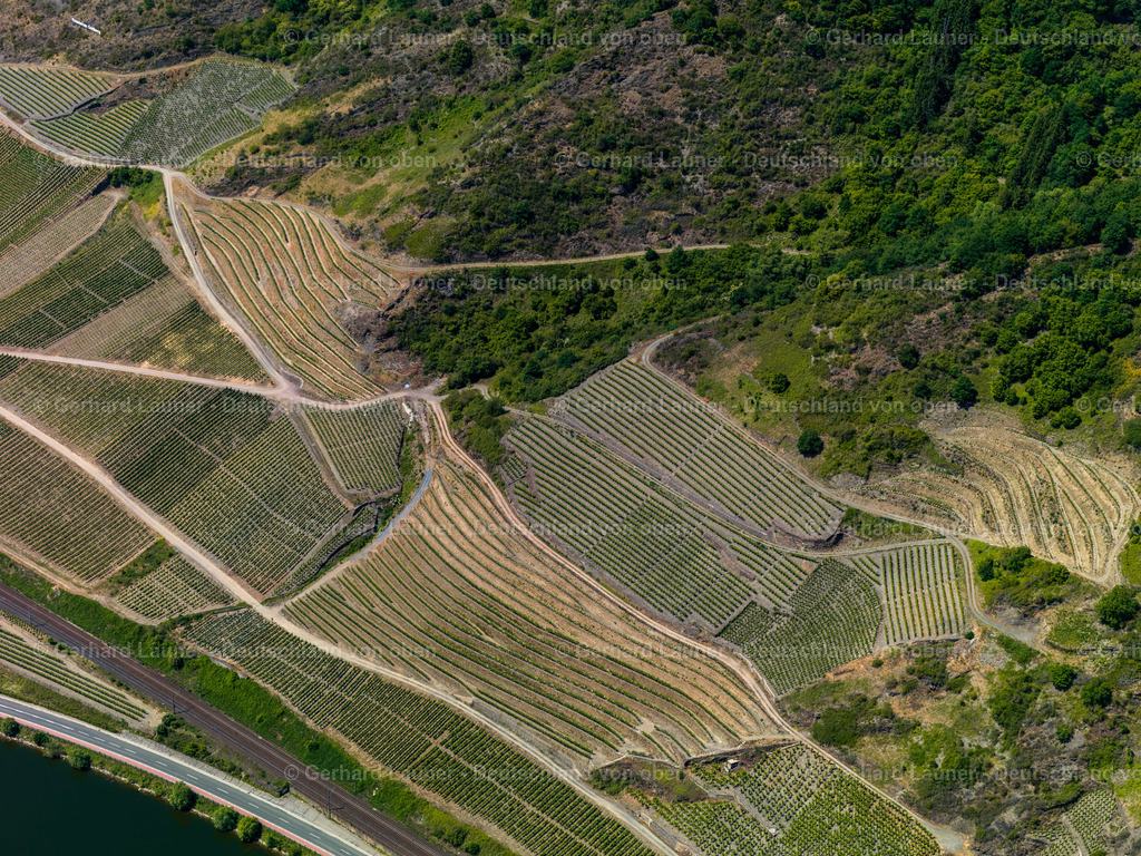 Weinberge-Mosel-Pommern-3114581 | Weinberge und Mosel bei Pommern
