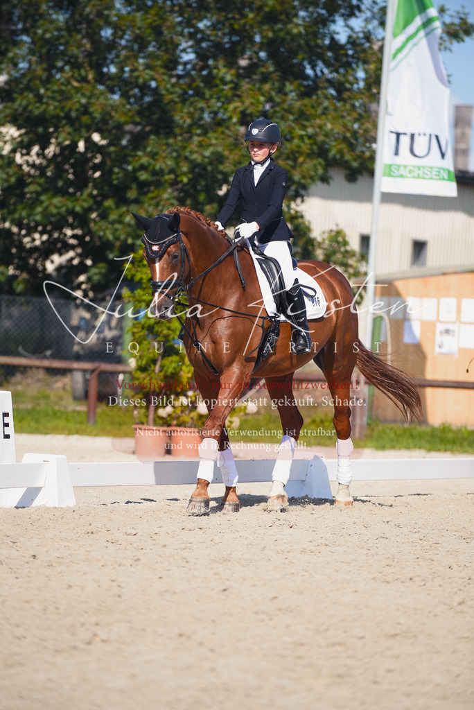 DSC_0043 | Pferde- und Turnierfotografie in Westsachsen. Pferdeportraits, Auftragszeichnungen und intuitive Kunst.