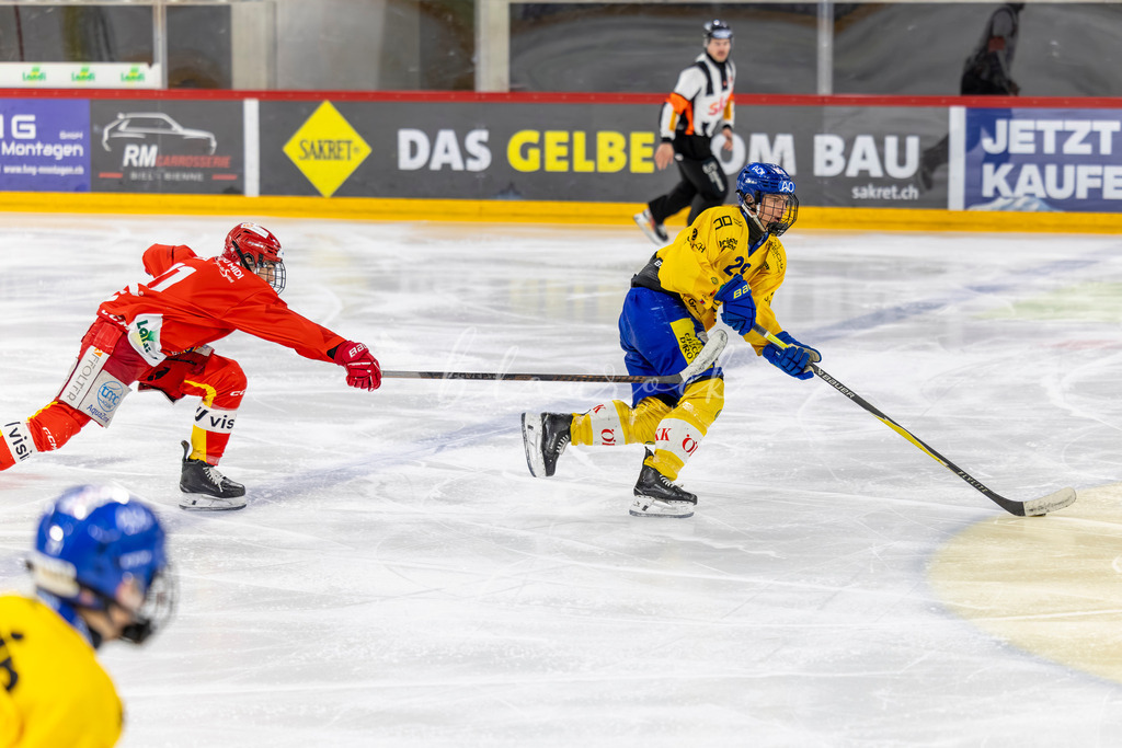 EHCB vs HCD 20262703-431453696 | Sportbilder, Sportfotograf, Hochzeits- und Eventfotografin, Flugshows, Portraits und Tiershooting, Aviation, Downhill, Nationalleague, Swissleague, International