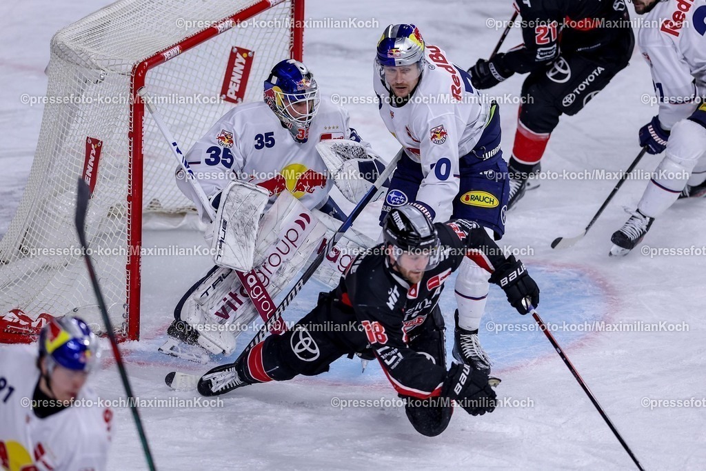 KEC28012501055 | 28.01.2025, Eishockey, DEL, Kölner Haie - EHC Red Bull München, Spieltag 41, Lanxess-Arena Köln: Goalie Mathias Niederberger (EHC München #35) bringt Louis-Marc Aubry (Kölner Haie #15) vor dem Tor zum Fallen