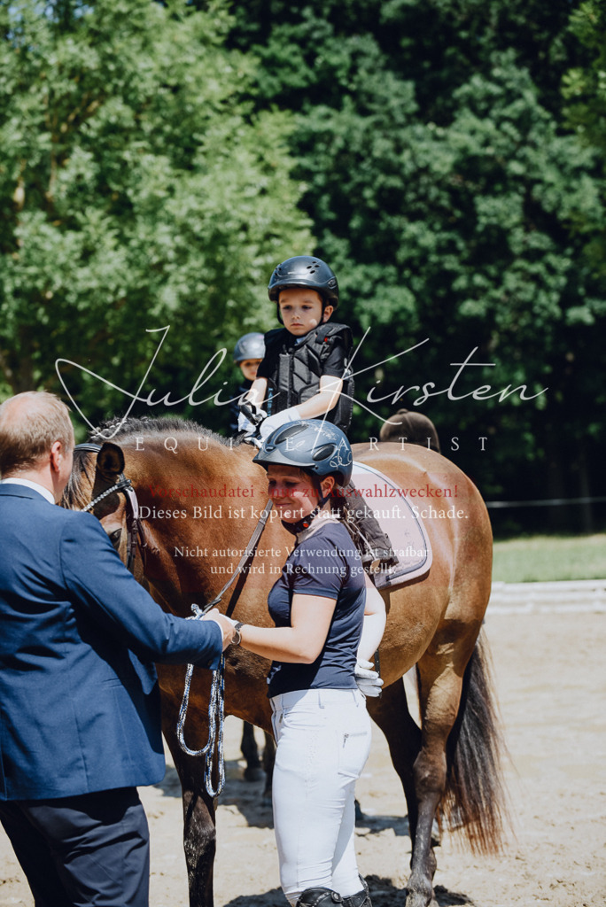 DSC_2641 | Pferde- und Turnierfotografie in Westsachsen. Pferdeportraits, Auftragszeichnungen und intuitive Kunst.