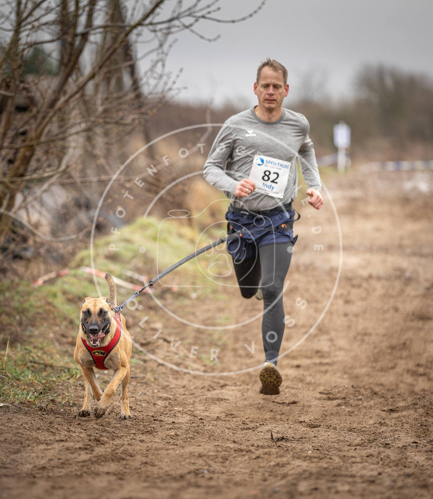 DV3A9882 | Hundefotografie, Tierfotograf, Pfotenfotografie, Fotoshooting Hund, Hunde Portrait, Hundesport, Hundeportraits, Heideshooting, Hunde, Sportfotograf, Hundefotograf, Turnierhundsport, THS,  - Realisiert mit Pictrs.com