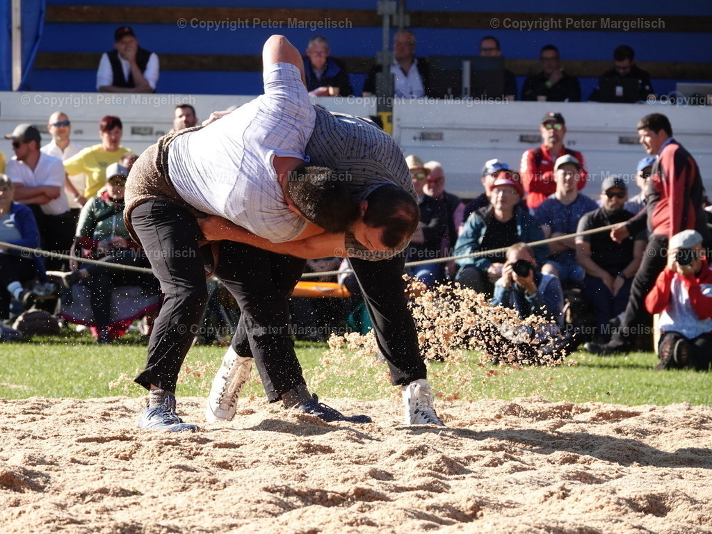 DSC07366 | Schwingen - Realisiert mit Pictrs.com