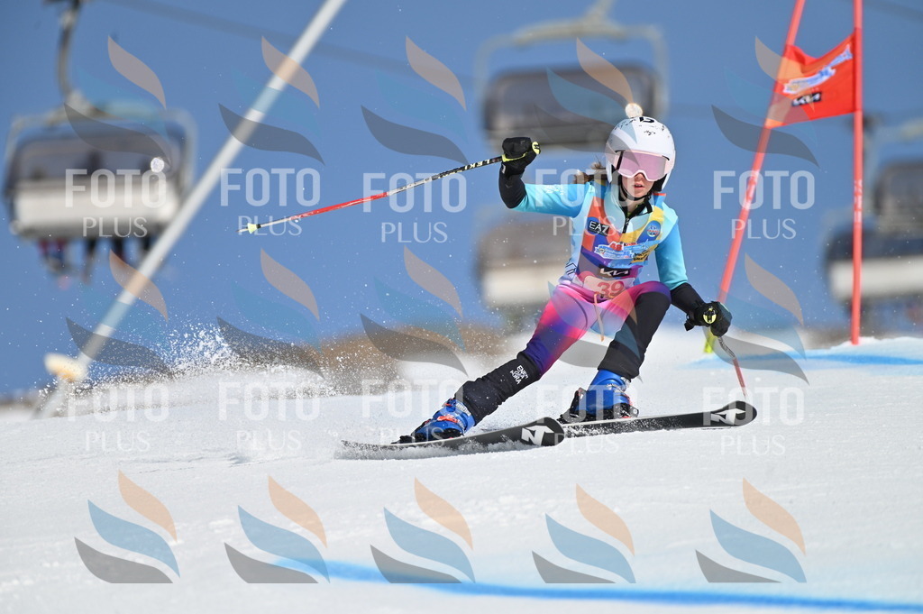 BGV_8331 | holidayphoto