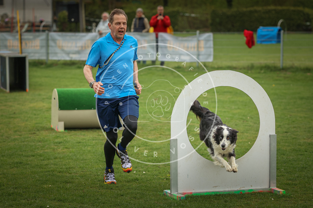 Pfotenfotografie_0L8A1195 | Hundefotografie, Tierfotograf, Pfotenfotografie, Fotoshooting Hund, Hunde Portrait, Hundesport, Hundeportraits, Heideshooting, Hunde, Sportfotograf, Hundefotograf, Turnierhundsport, THS,  - Realisiert mit Pictrs.com