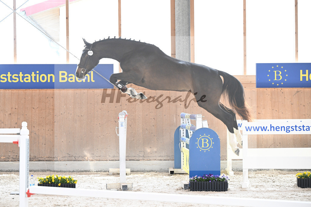 Kat-Nr. 12 Gina von Imhoff v. Voltaire_Imhoff_5250191 | hf-fotografie - Realizzato con Pictrs.com